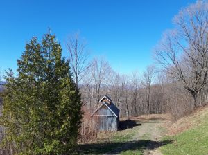 cabane à sucre