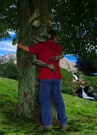 une personne embrasse un arbre